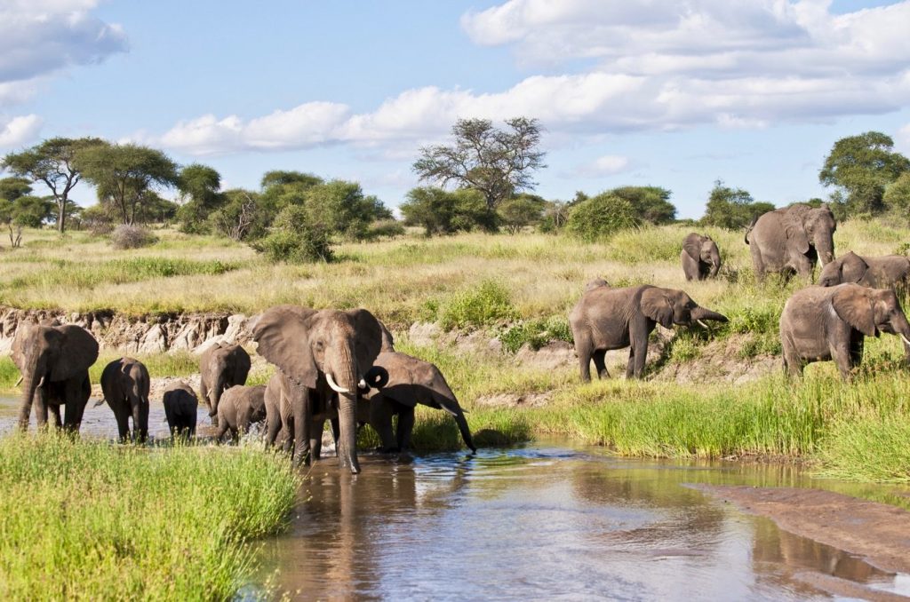 Tanzania